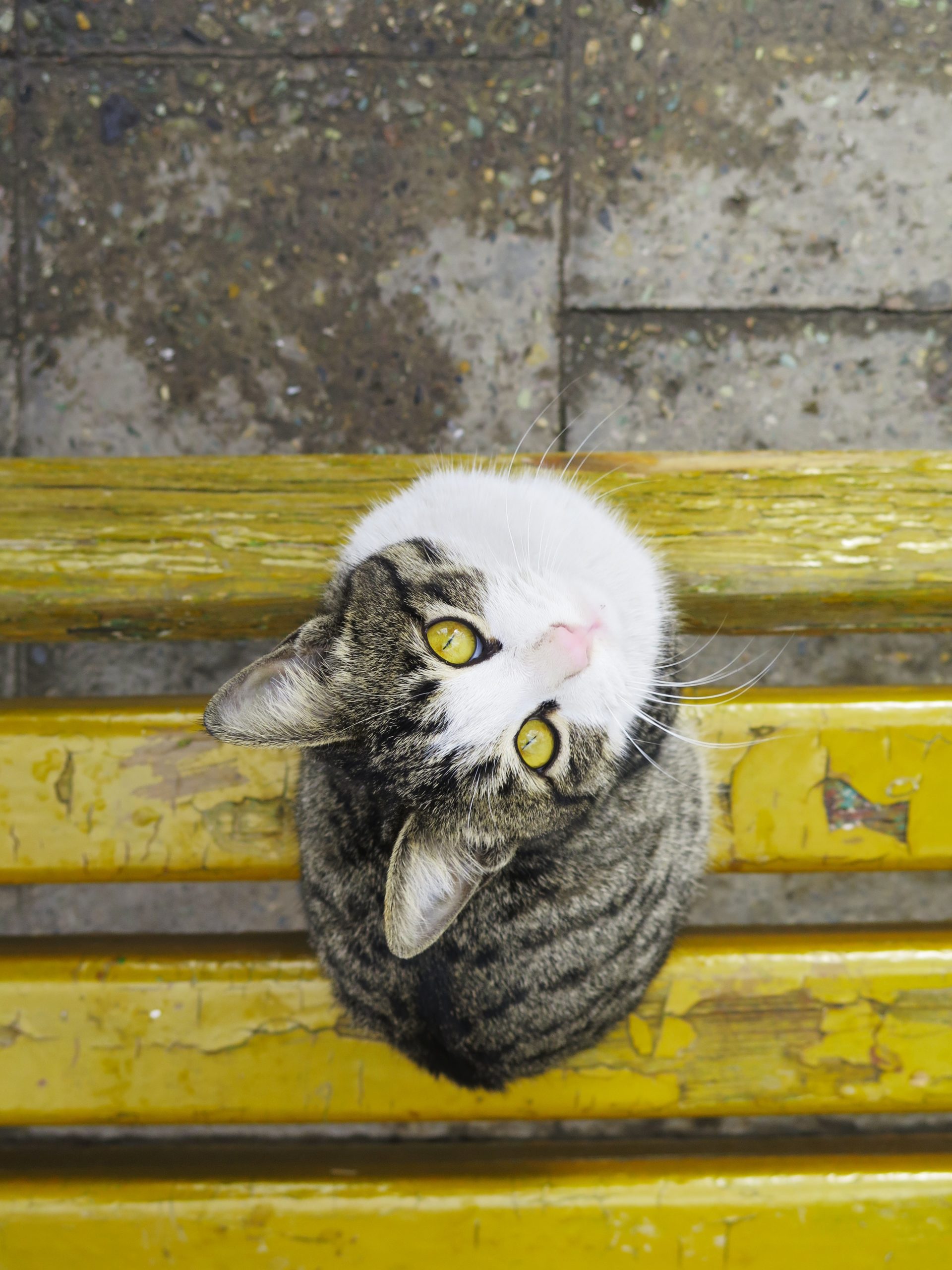kłamstwa architektów